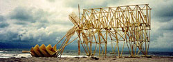 strandbeest250x90.jpg